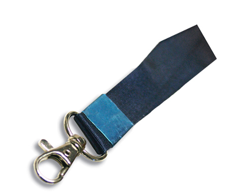 Blue Lanyard