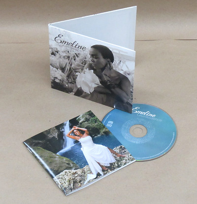 4 panel cardboard sleeve with optional booklet